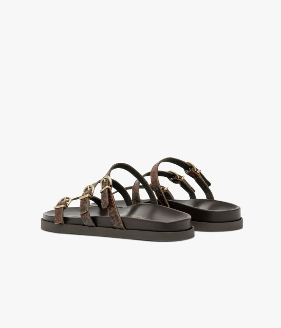 Mule Waanda Python