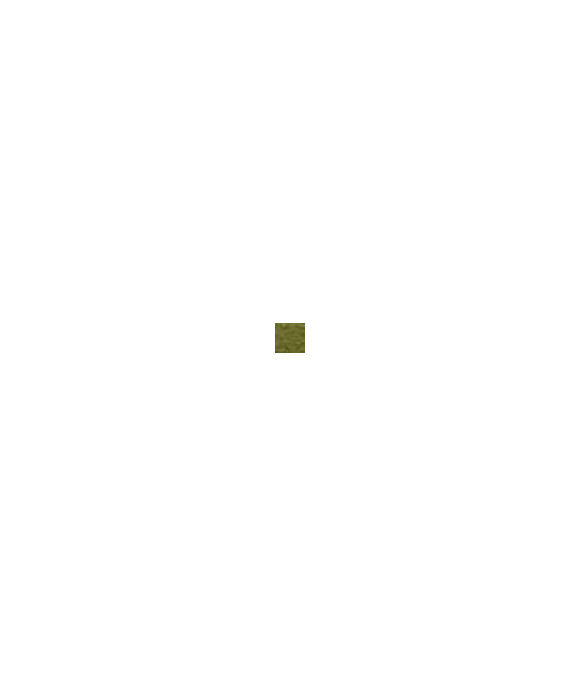 Mocassin Alanna Cactus