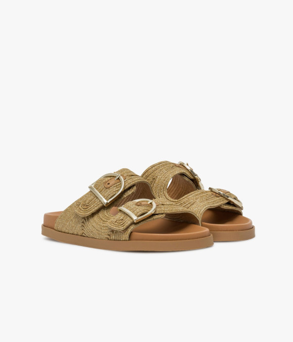 Mule Youna Camel