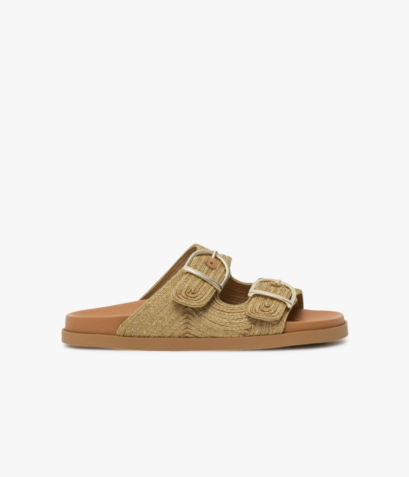 Mule Youna Camel