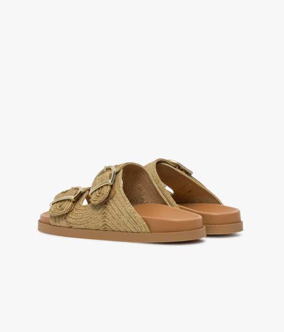 Mule Youna Camel