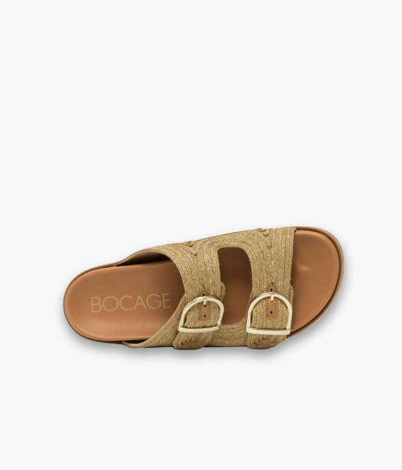 Mule Youna Camel