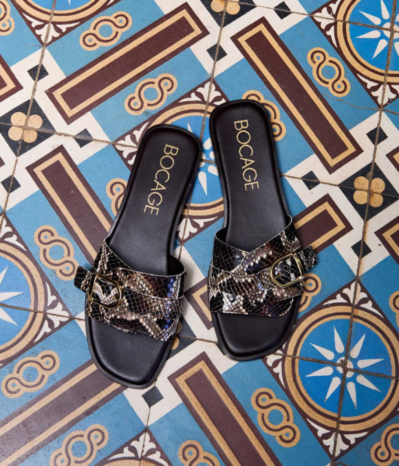 Mule Williana Python