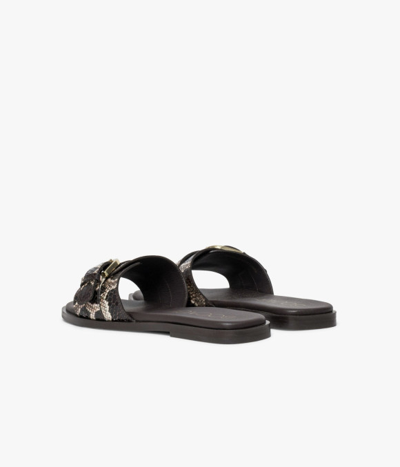 Mule Williana Python