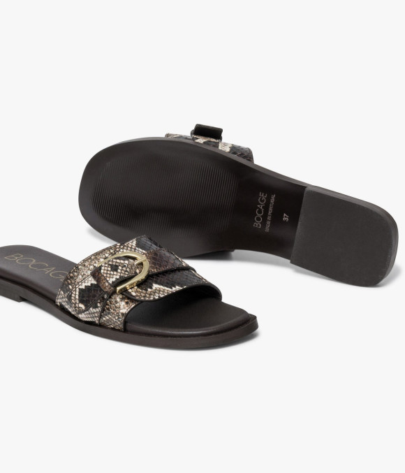 Mule Williana Python