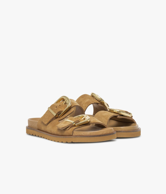 Mule Yelena Camel