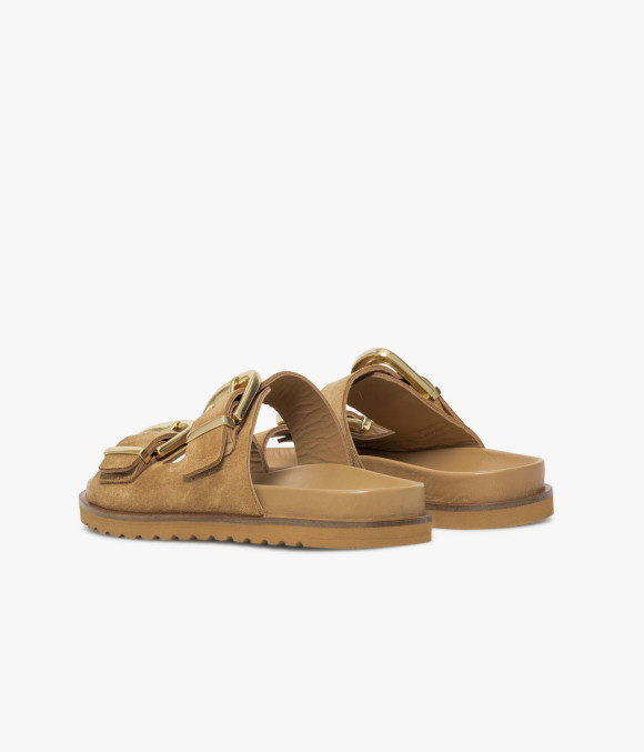 Mule Yelena Camel