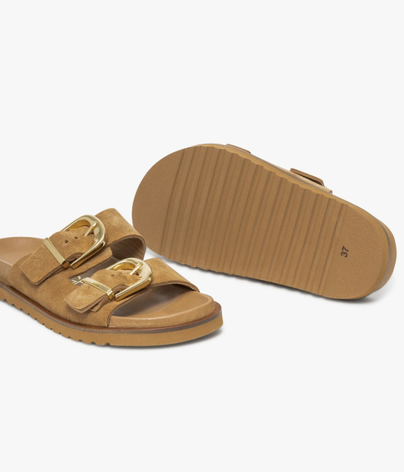 Mule Yelena Camel